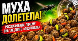 МУХА ДОЛЕТЕЛА! Рассказываем, почему она так долго «созревала».