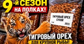 Тигрёныш на полках: это наш 9-й сезон с тигровым орехом в прайсе.