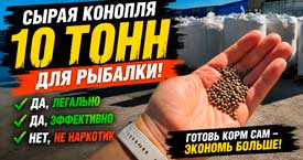 Про коноплю для рыбы. Да, легально. Да, эффективно. Нет, не наркотик.